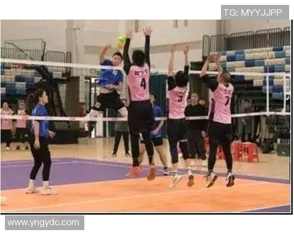 上海排球队在杯赛中的灵活战术表现与团队协作分析